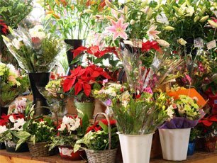 The Best Time to Look for a Florist in Singapore