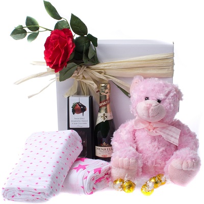 Baby Girl Gift Hampers in Singapore