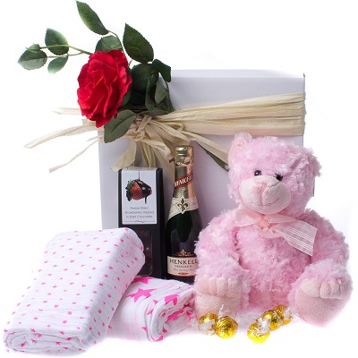 Welcome the Little Princess with Baby Girl Gift Hampers in Singapore