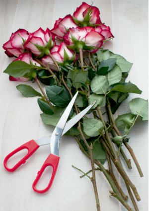 Different Freshly Cut Flowers that Last Longer for Your Online Flower Shopping