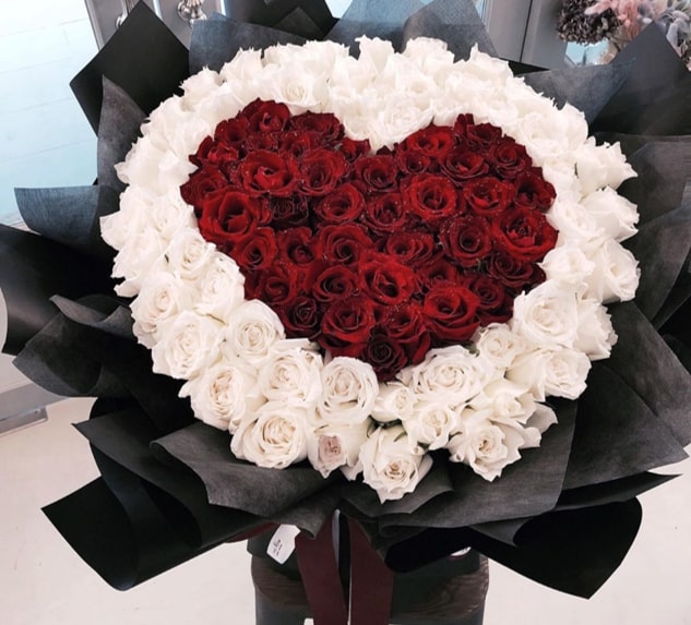 99 heart shaped red and white roses